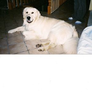 Meet your Posher, Denise